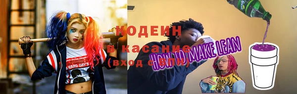 индика Сосновоборск