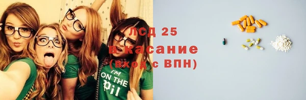 сатива Аркадак