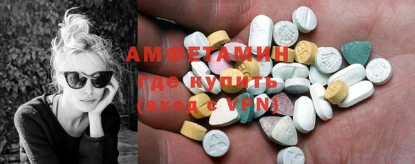 сатива Аркадак