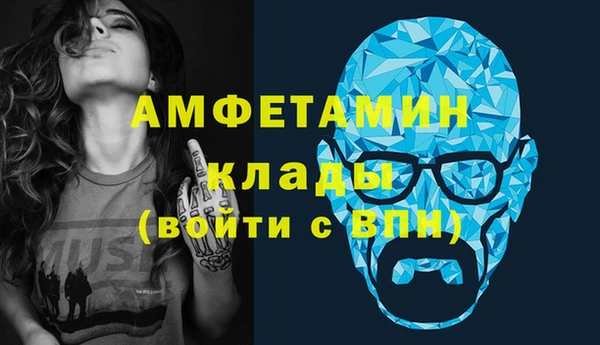 сатива Аркадак