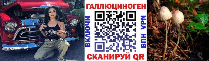 площадка телеграм  blacksprut как войти  Бикин  Псилоцибиновые грибы мицелий 